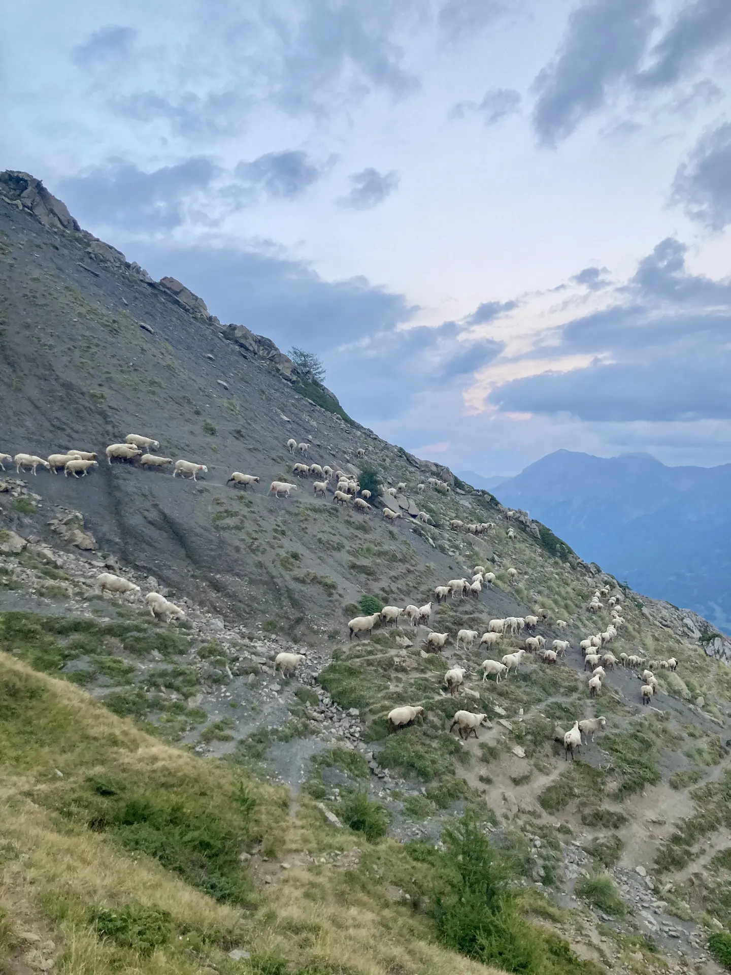 Festival de l'Alpage : Spectacle de clôture "Et le souffle régulier de nos respiration"