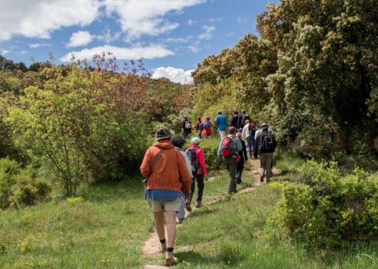 Balade – Garrigue, vous avez dit garrigue ?