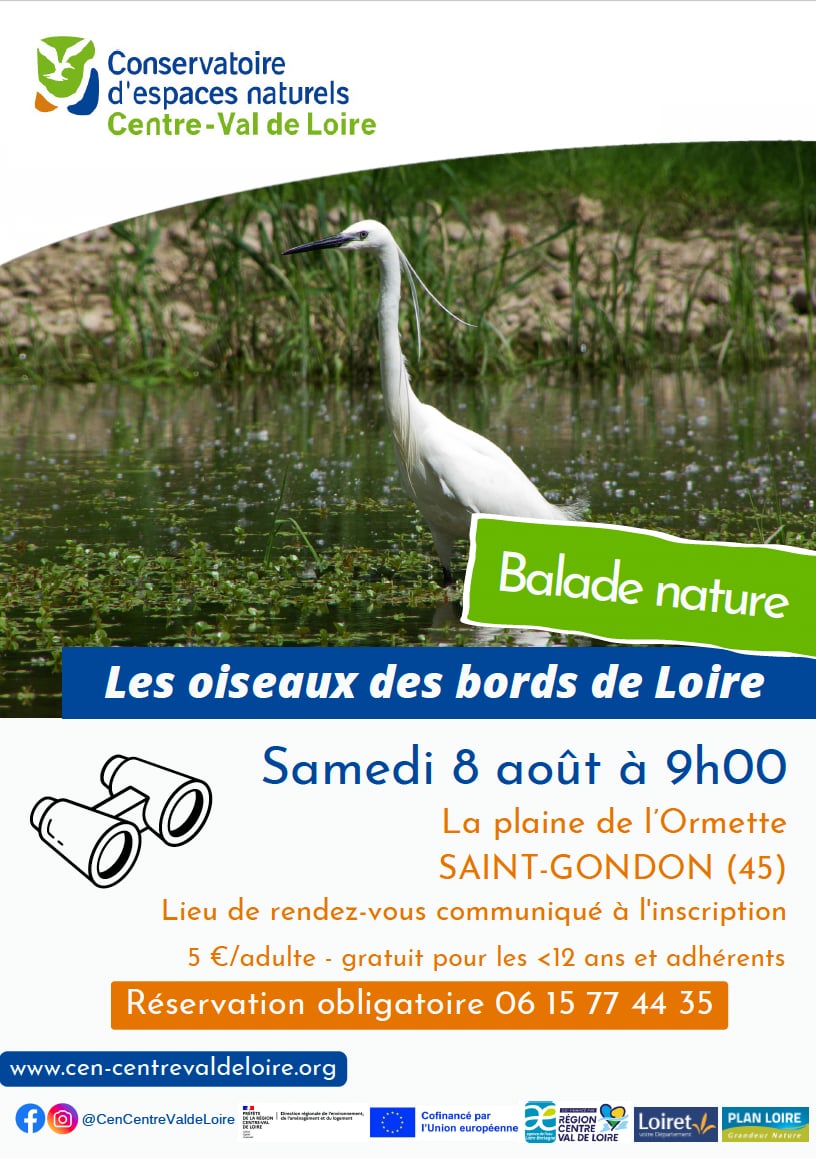 Balade nature : Les oiseaux des bords de Loire