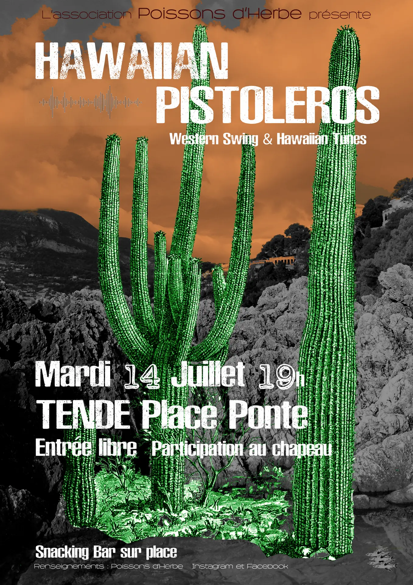 Concert des Hawaiian Pistoleros (western swing)
