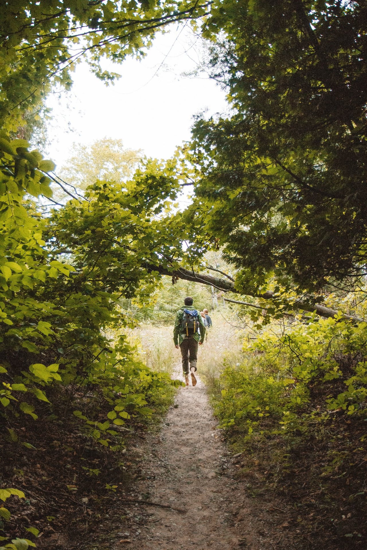 Randonnée pédestre et VTT