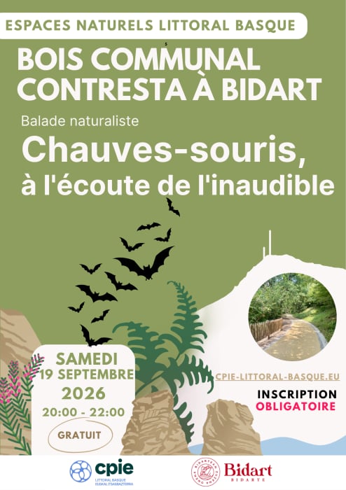 Balade naturaliste : Chauves-souris, à l'écoute de l'inaudible à Bidart - CPIE Littoral Basque