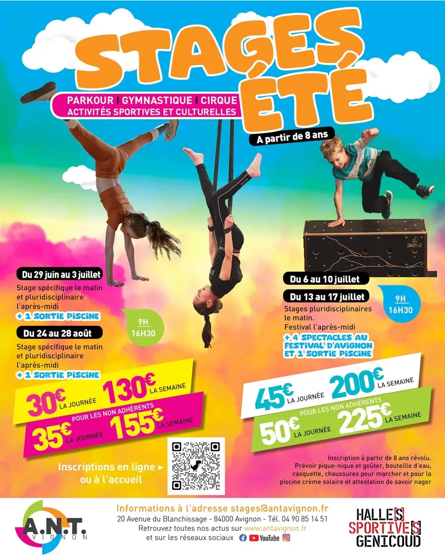 Stages été de l'ANT