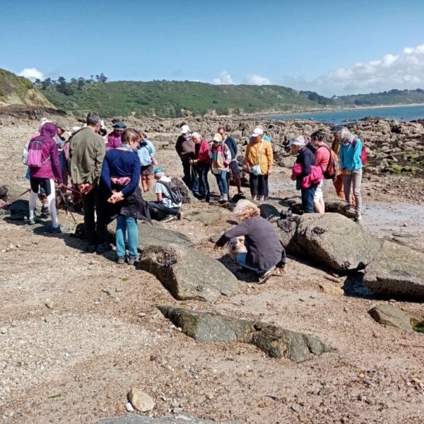 Les roches les plus anciennes de France