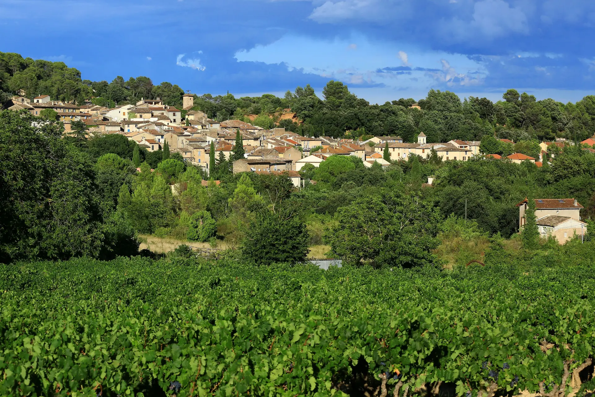 Marché Provençal