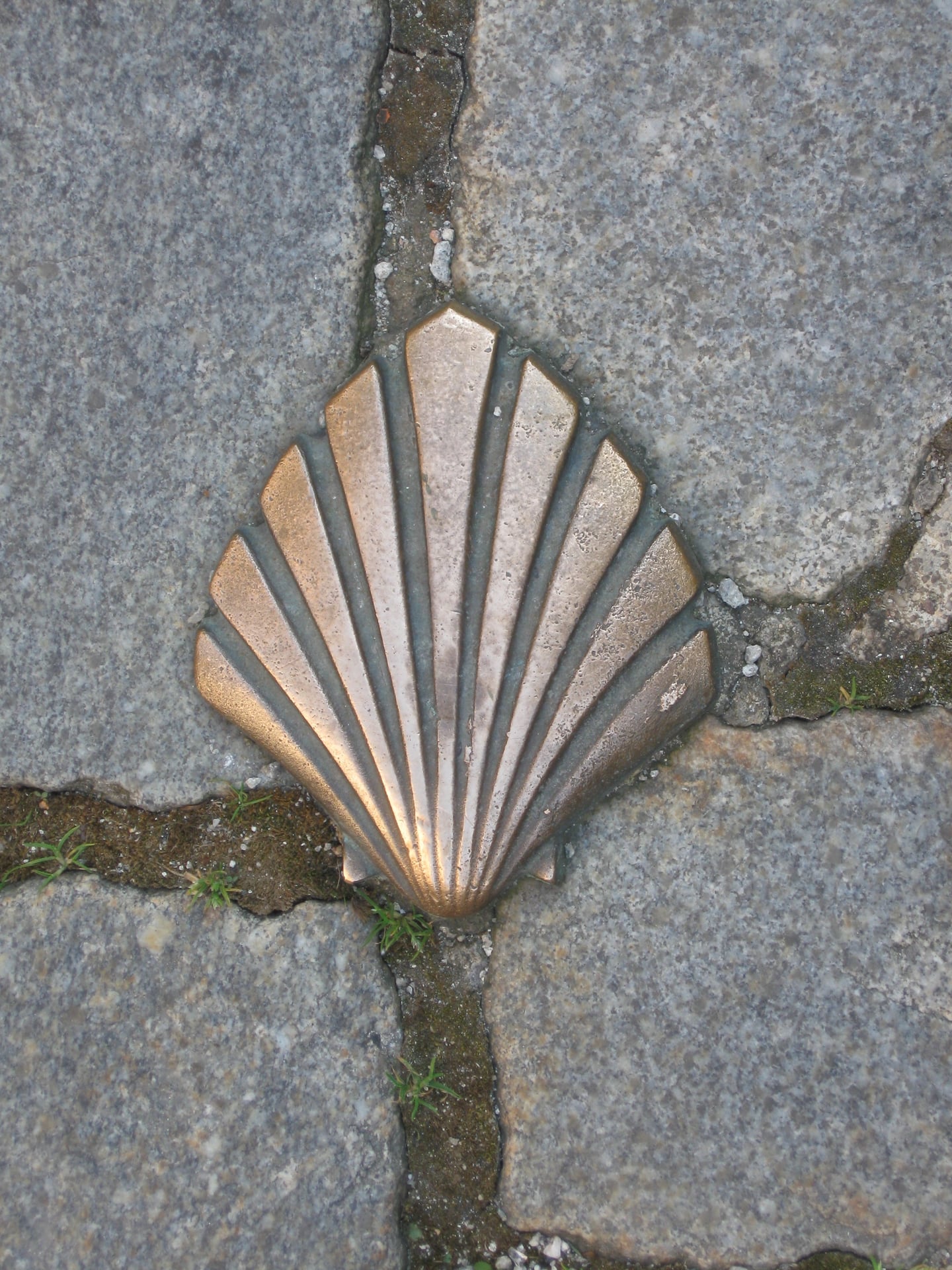 Sur le chemin de Saint-Jacques-de-Compostelle - Visite Guidée