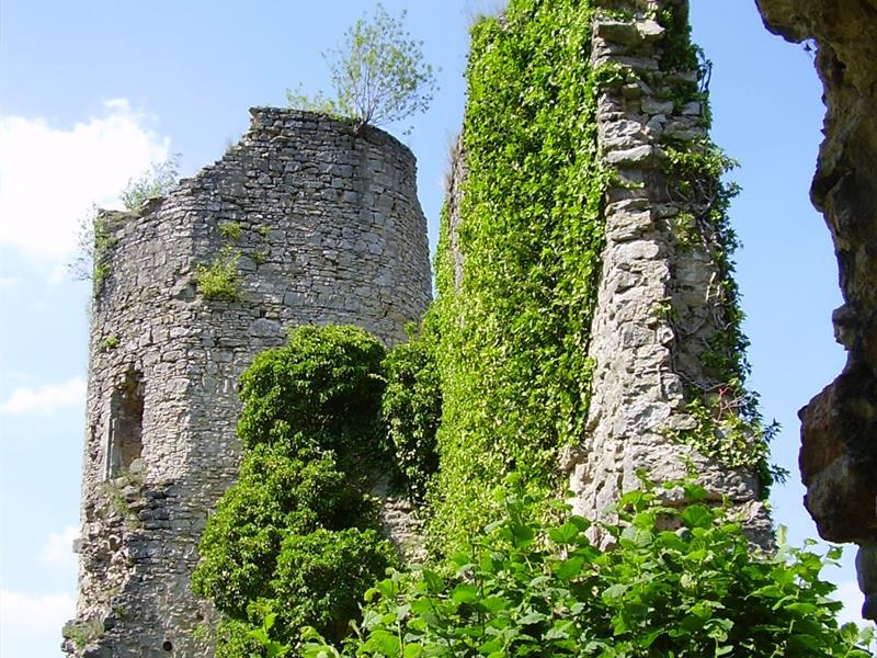 Les Rendez-vous Nature - Nature remarquable sur les pas des Comtes
