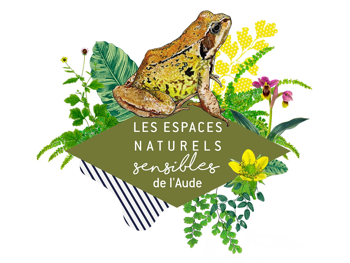 ENS - UN AIR DE BOCAGE SUR LES FLANCS DE LA MONTAGNE NOIRE