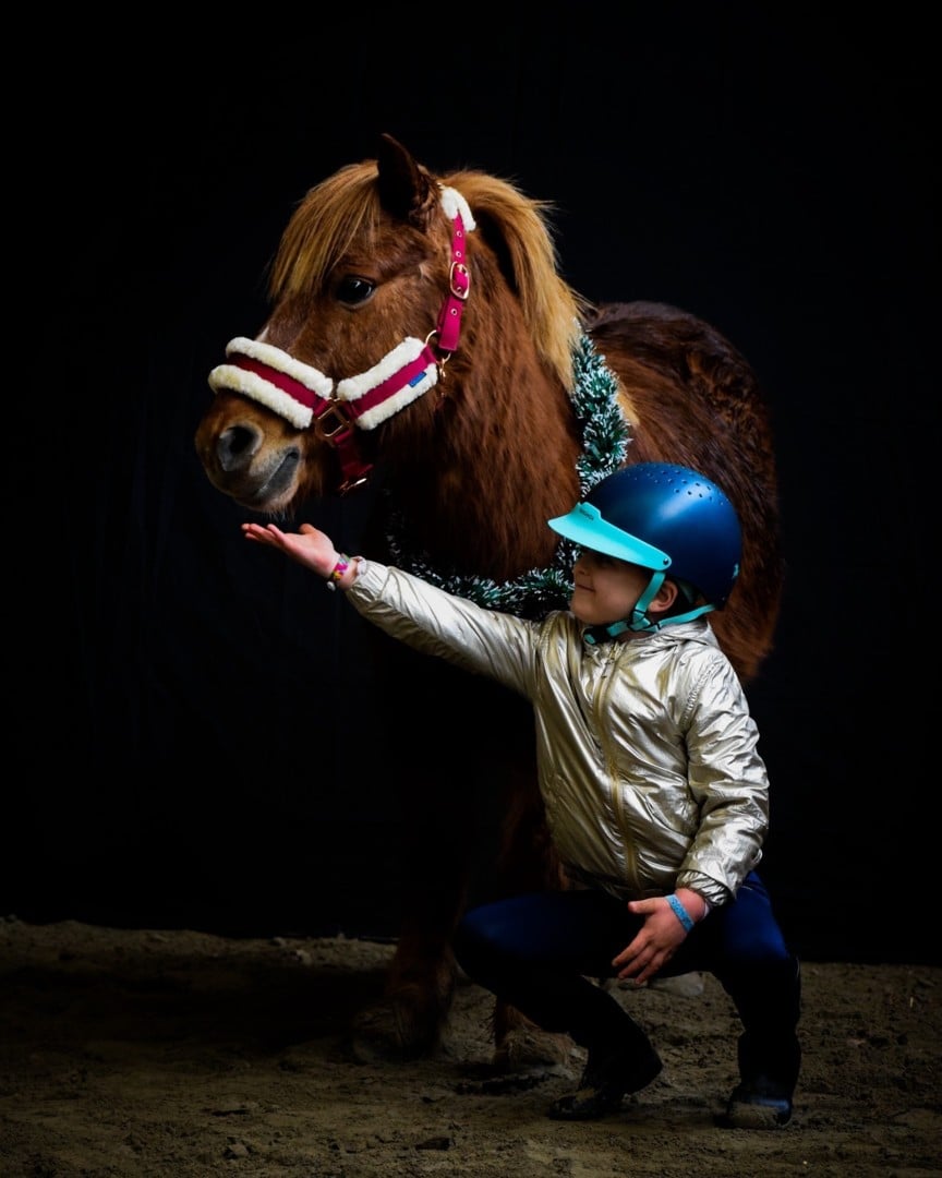 Stage équestre – Poney