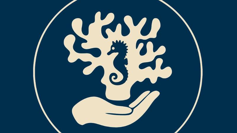 Atelier pascal à l'Aquarium Refuge