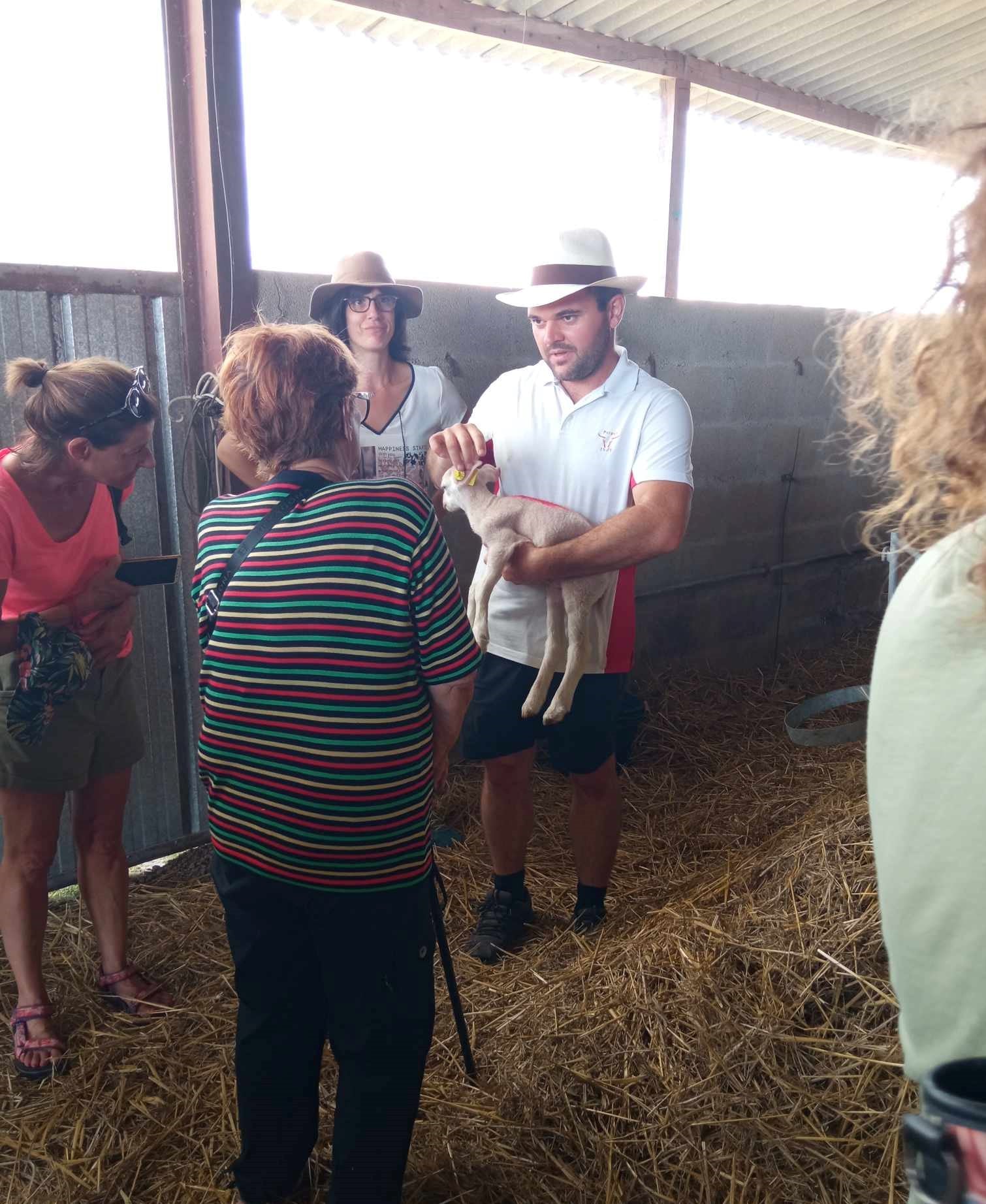 Accueil à la Ferme : Ferme Bovine et Ovine à Parcoul et Brasserie "Dobla" à Servanches