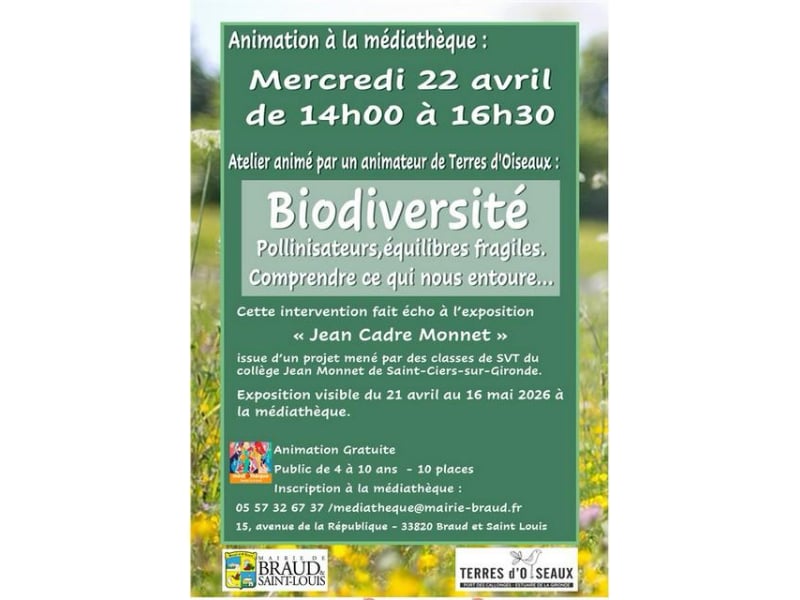 Atelier à la médiathèque sur la biodiversité