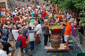 Fête des Vendanges du Safranier
