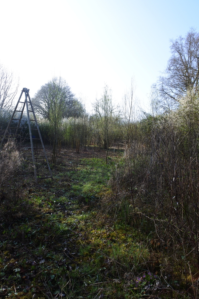 Cycles de l'eau et biodiversité