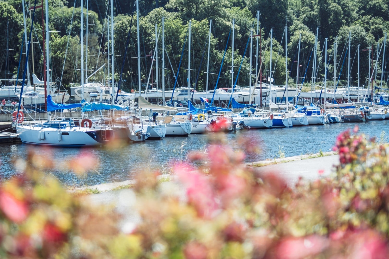 Visite guidée – Escale au Port du Légué