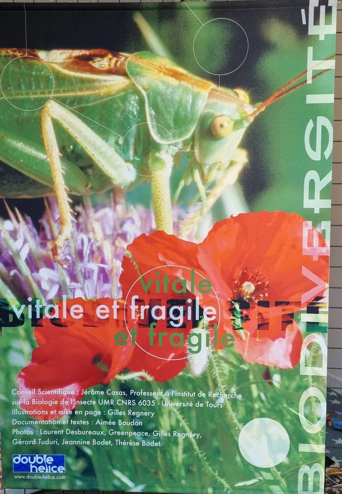Exposition "La biodiversité"
