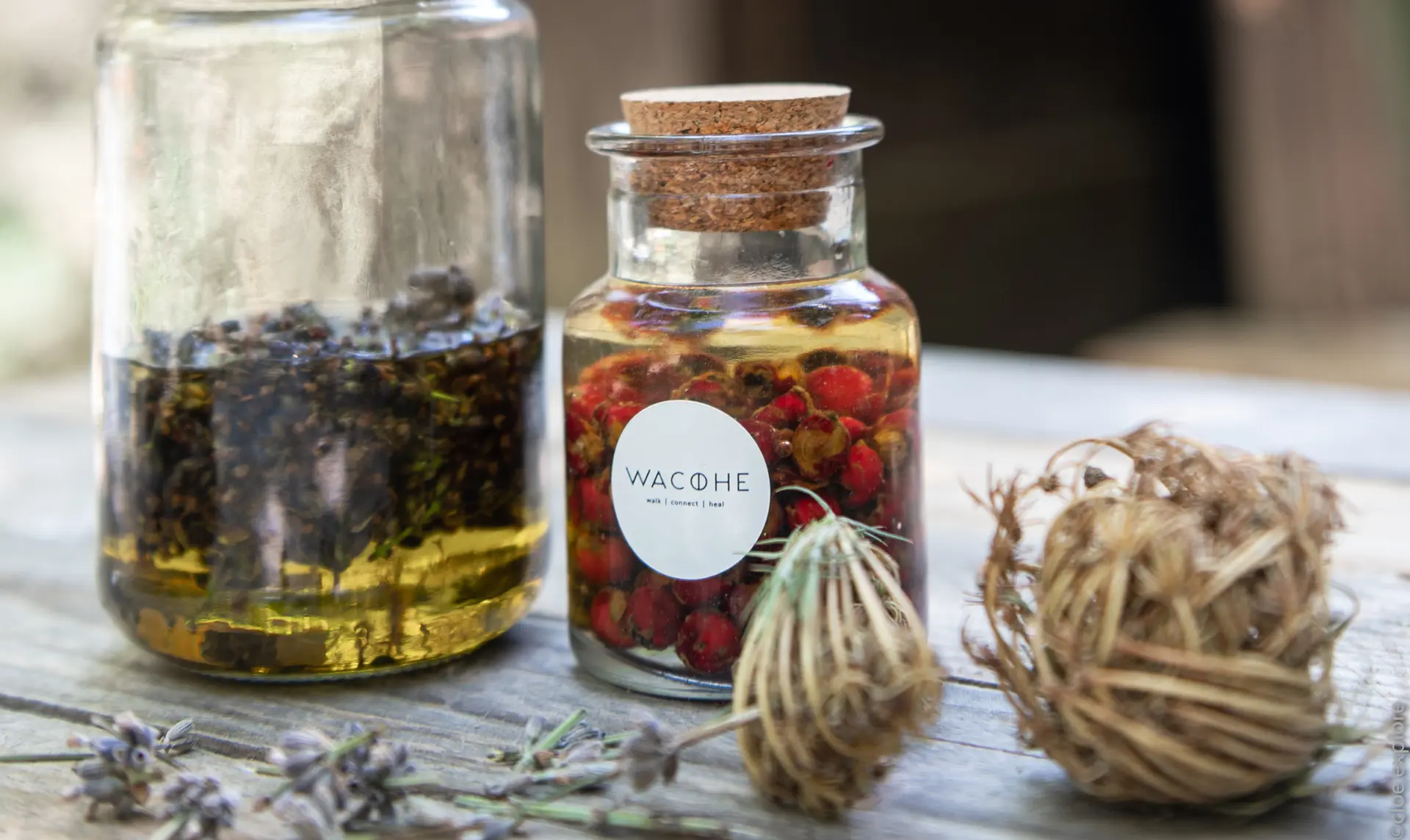 Festival Ventoux Saveurs - Atelier " Plantes et Remèdes" - Wacohe et Le Moulin César