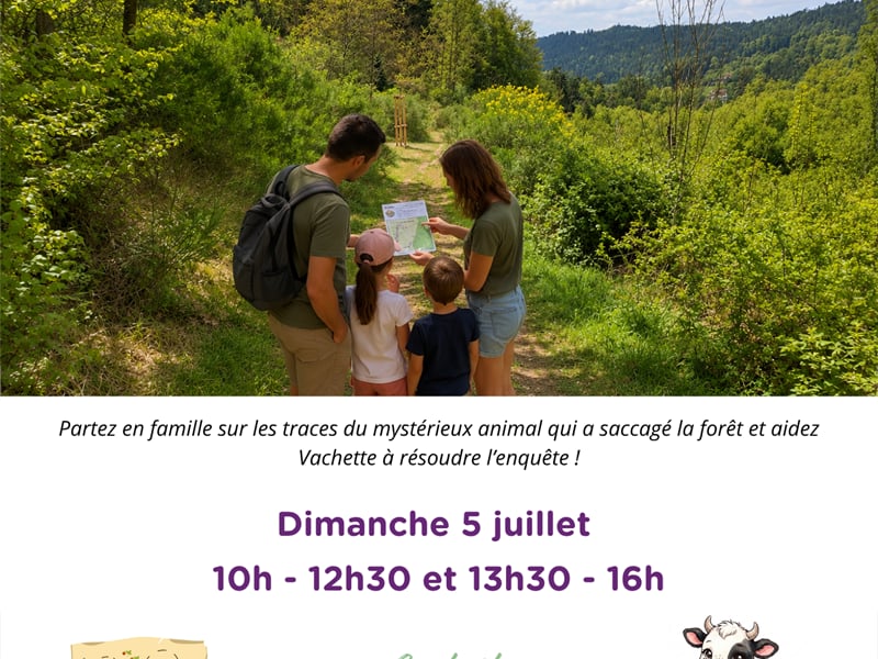 Jeu de piste : la forêt bouge