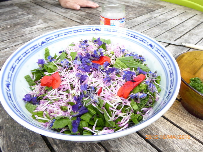 Régalons nous avec des plantes sauvages et comestibles.