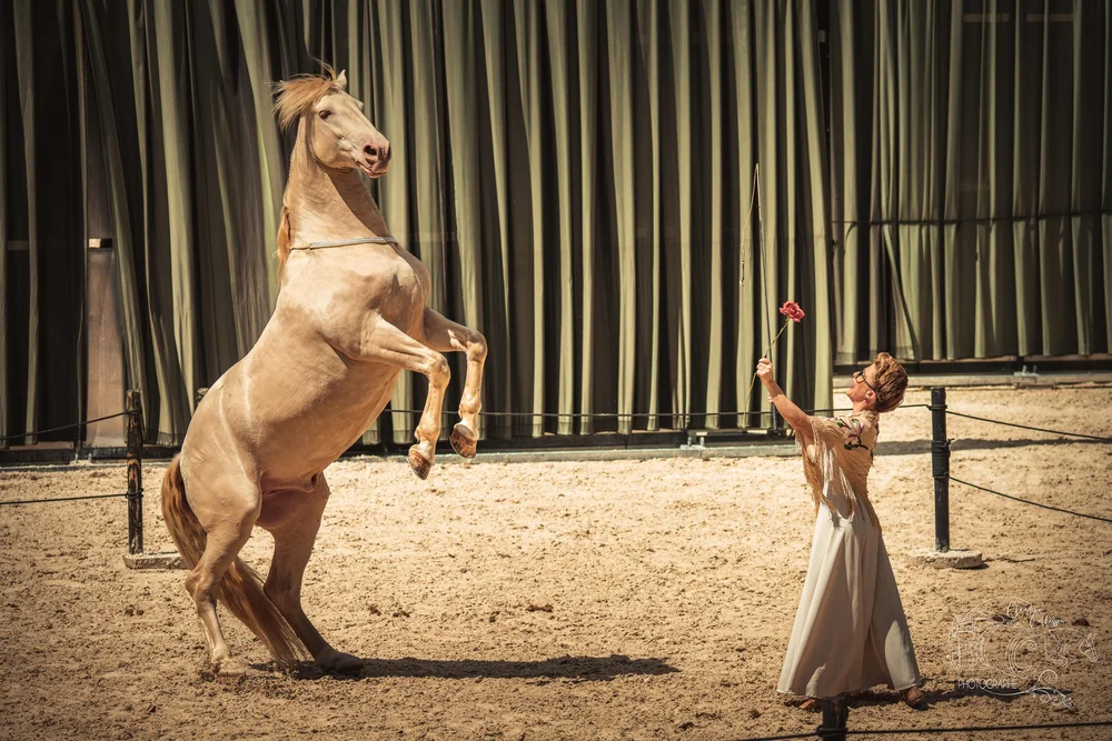 Théâtre équestre Hors(e) série - notes en cavale