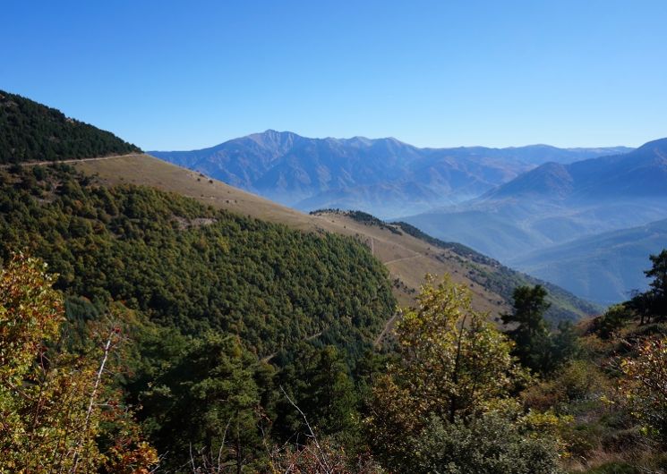 RANDO ACCOMPAGNEE : SENTIER DE DECOUVERTE DE LA RESERVE NATURELLE DE JUJOLS ROC DE LA COSTA