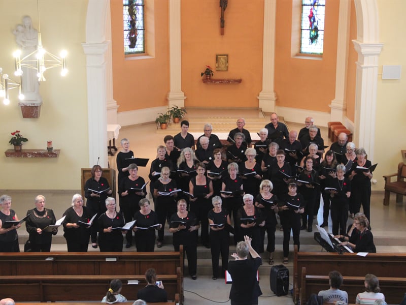 Festival en Pays d'Alsace : Choeur éphémère de Niederbronn-les-Bains