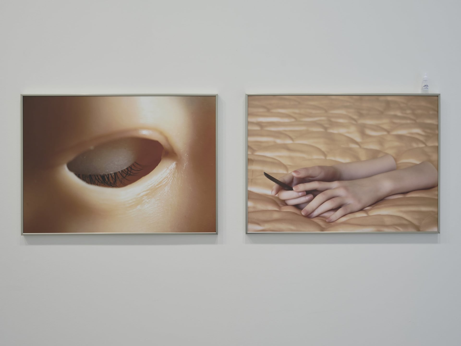 Visite commentée · là où les organes oragent