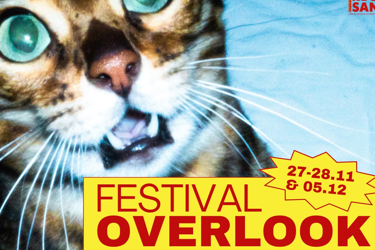 Rocksane | Festival Overlook