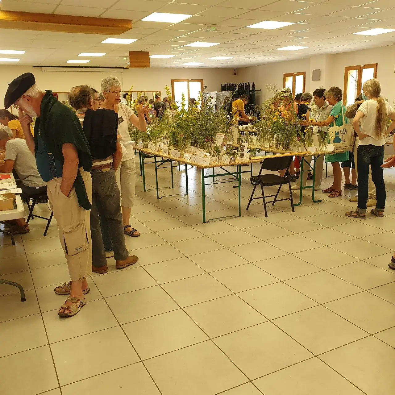 Les Floralpines 2026 - exposition de fleurs sauvages du Queyras