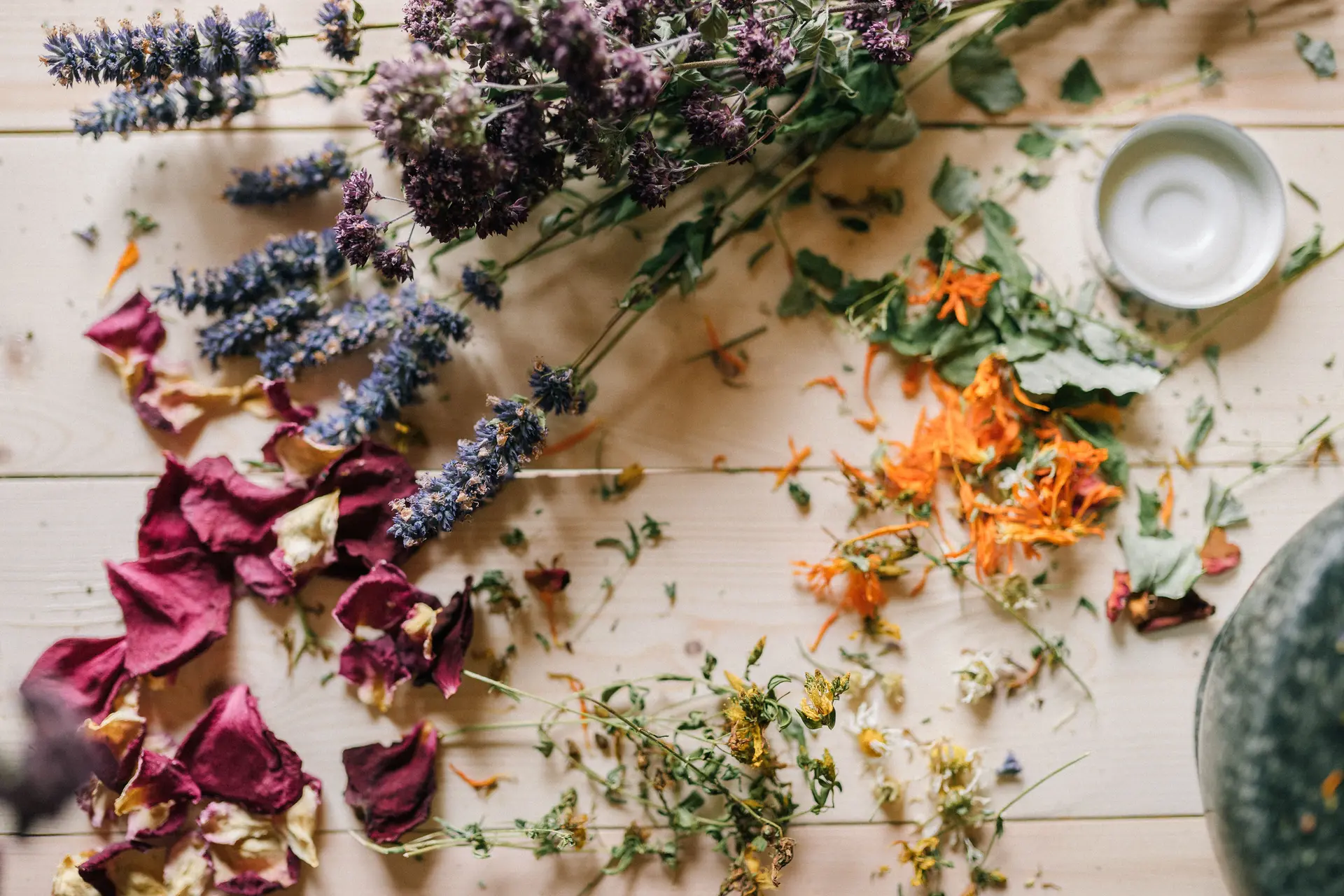 Atelier "Compose ta tisane"