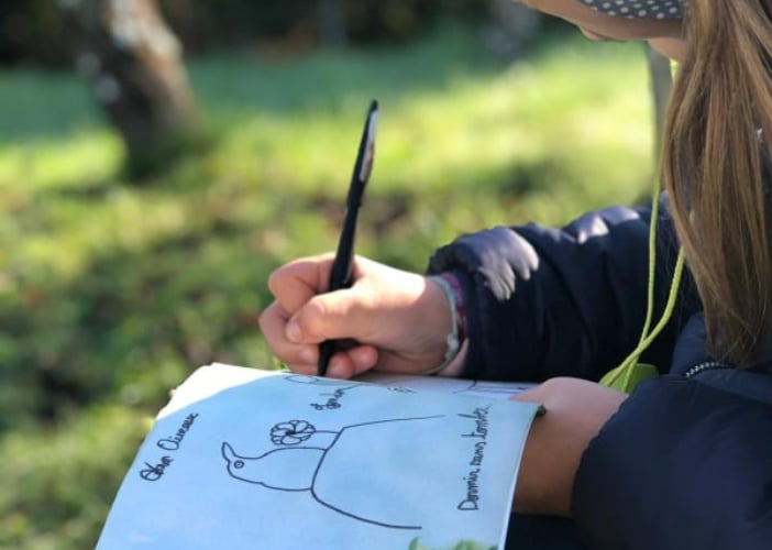 Atelier des p'tits curieux "Découvre les oiseaux du jardin et de la forêt"