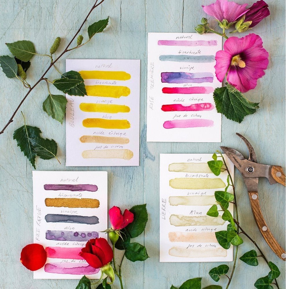 Atelier Fabrication d'aquarelle