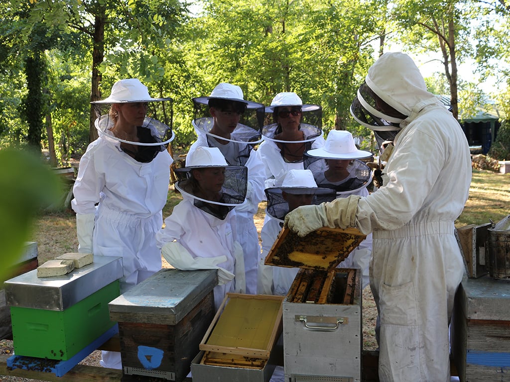 Immersion au coeur de la ruche et dégustation gourmande