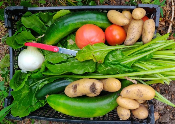 Marché de producteurs