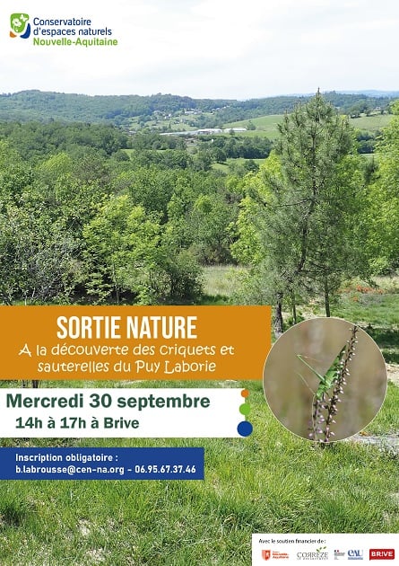 Sortie nature: A la découverte des criquets et sauterelles du Puy Laborie