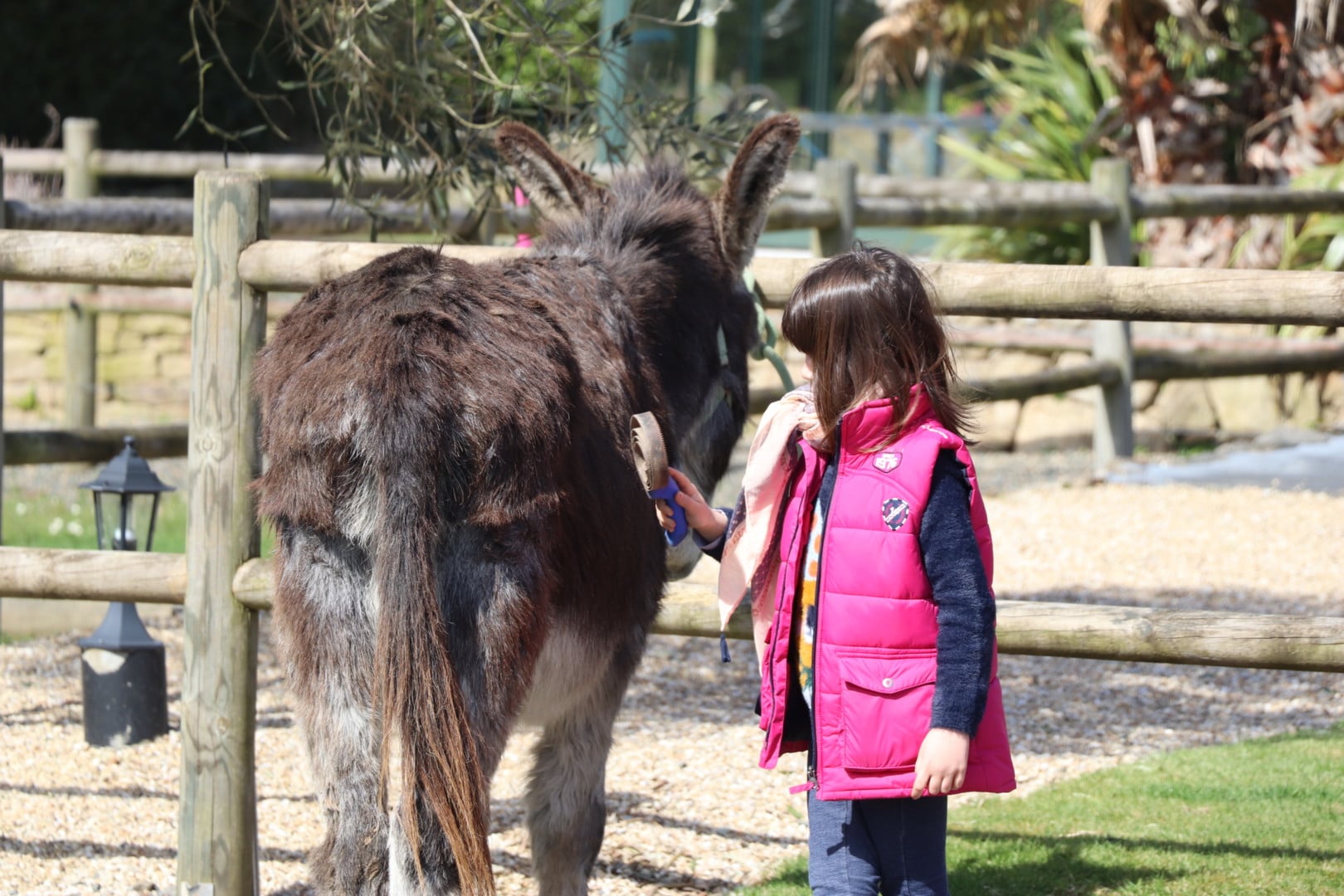 Visite ferme pédagogique et atelier nourrissage des animaux