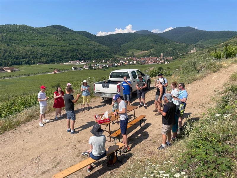 Pique-nique chez le vigneron indépendant - Domaine Schmitt-Carrer
