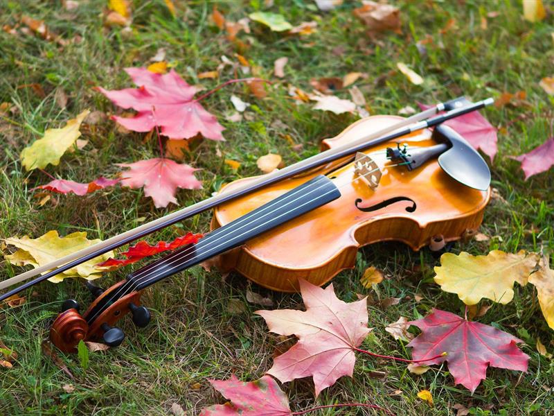 Flânerie gourmande en musique