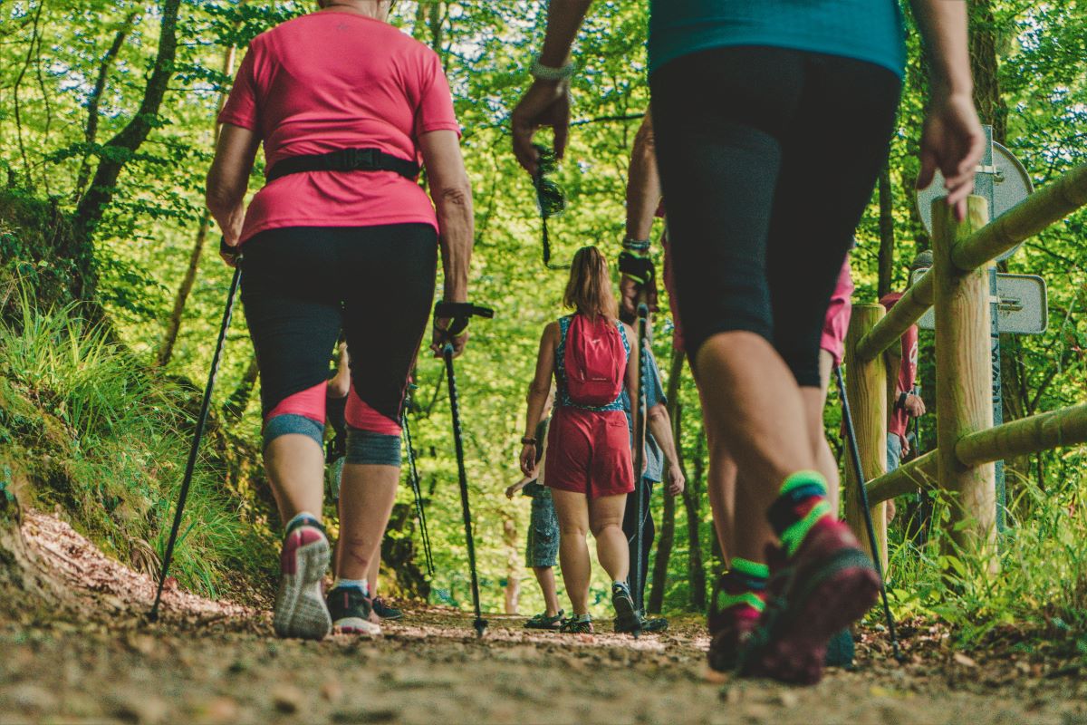 Randonnée pédestre