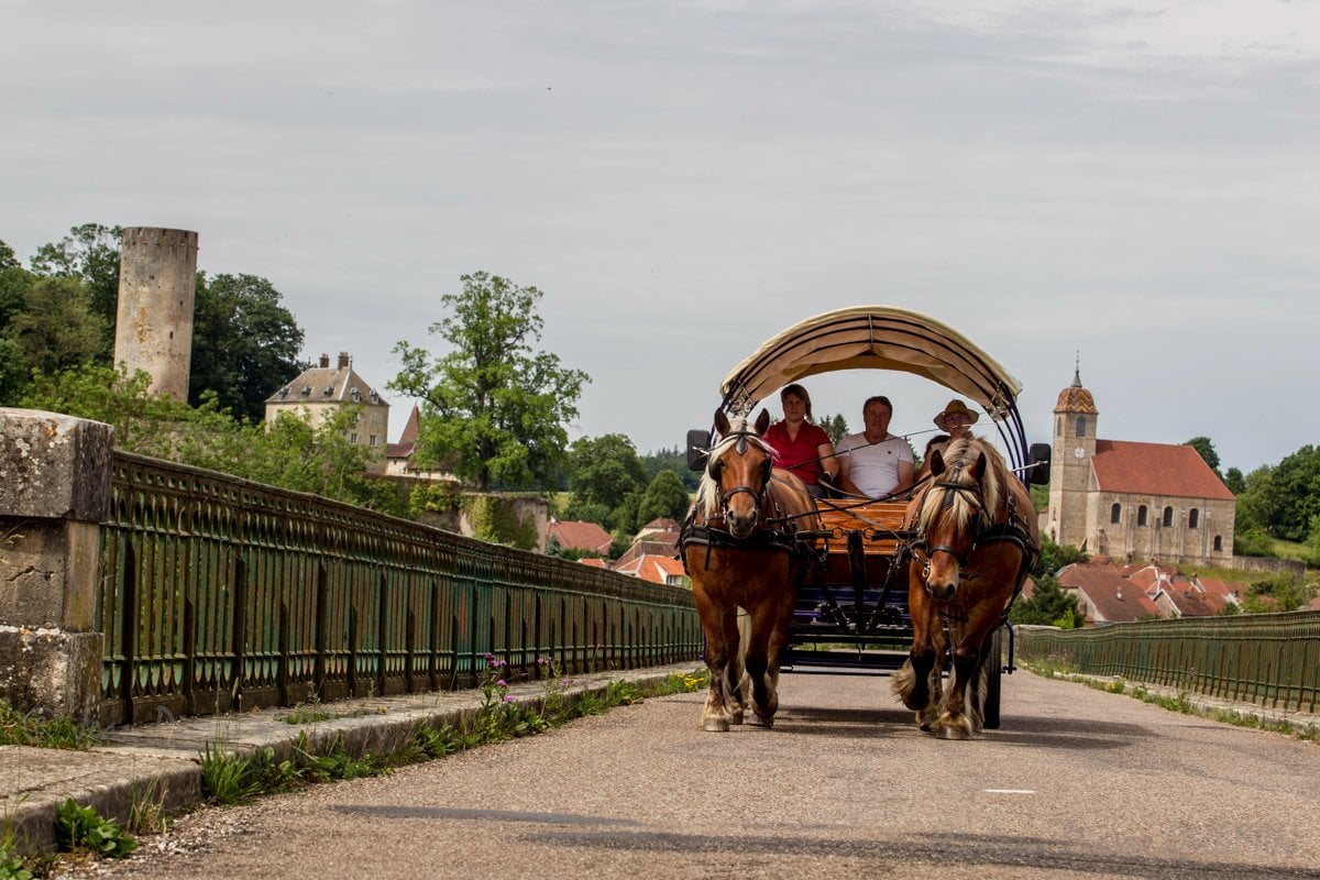 Raclette en calèche