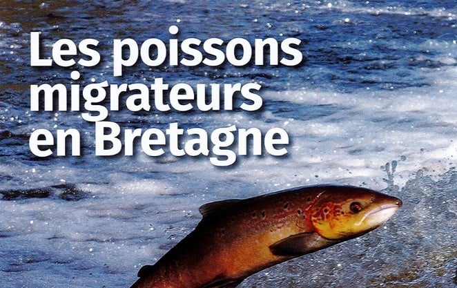 Les poissons migrateurs en Bretagne