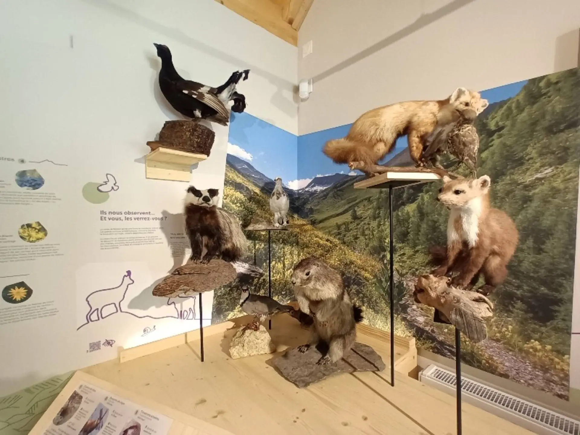 Exposition : les patrimoines de la vallée de Réallon
