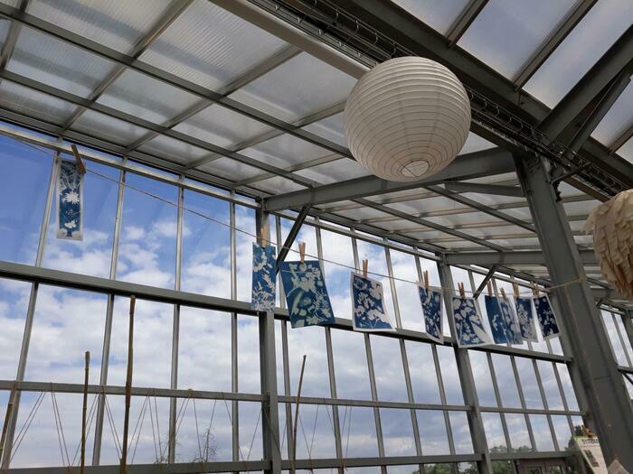 Un après-midi à la serre