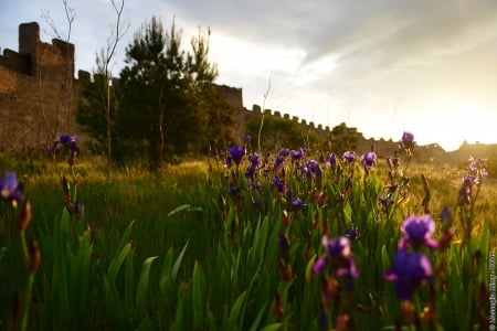 MARCHE ENTRE GARRIGUE ET PLAINE VITICOLE