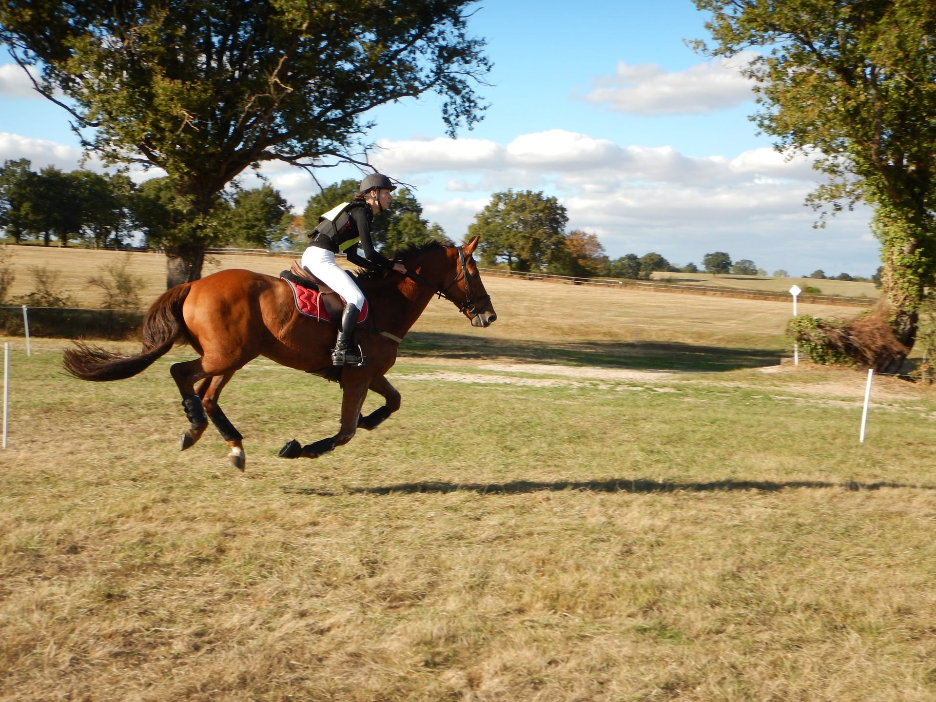 Finale nationale jeunes chevaux d’endurance