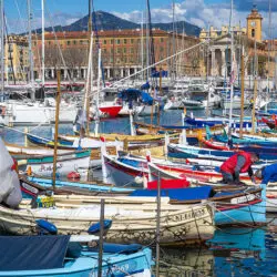 Découverte des pointus de Nice