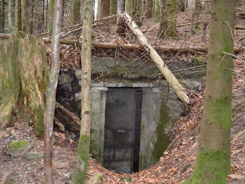 Sentiers Plaisir : Les Casemates du Donon