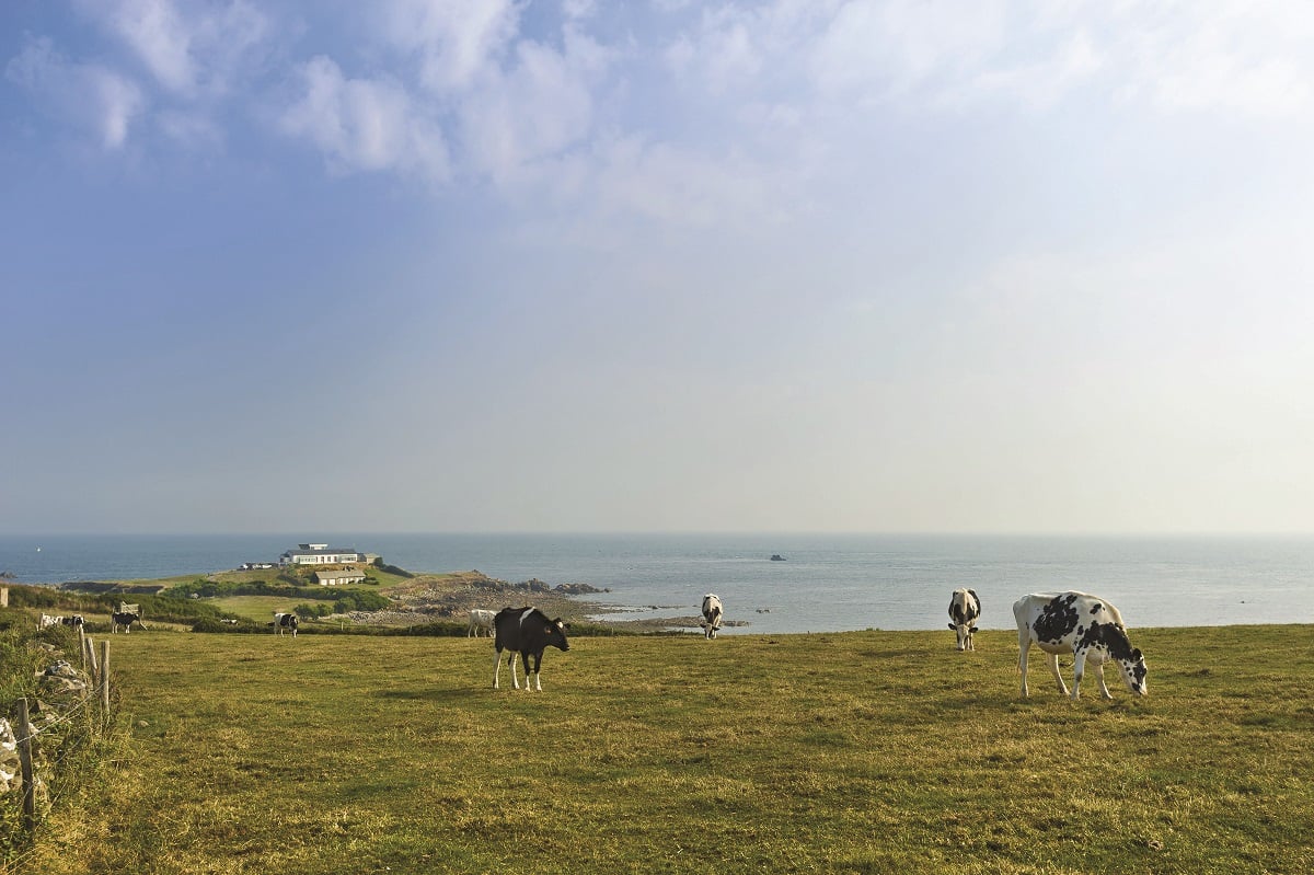 Visite guidée : La pointe de Jardeheu vue par un géologue
