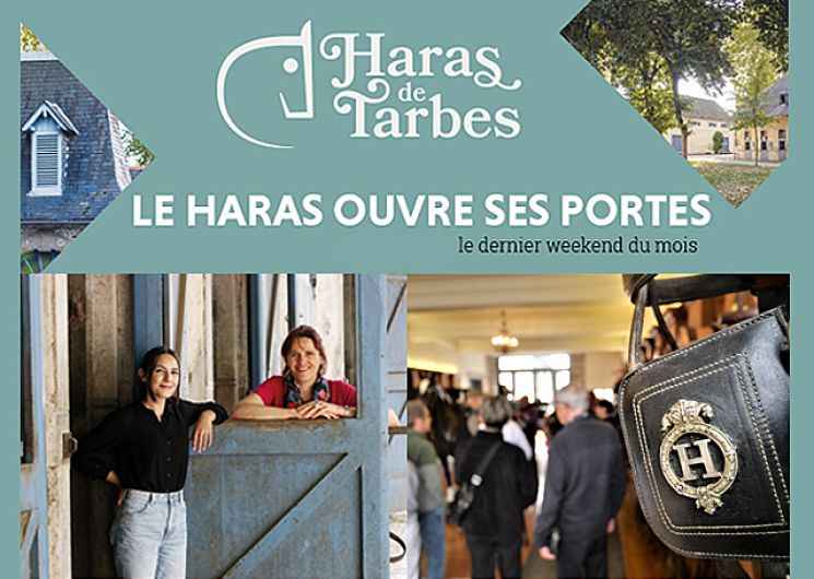 Portes ouvertes du Haras