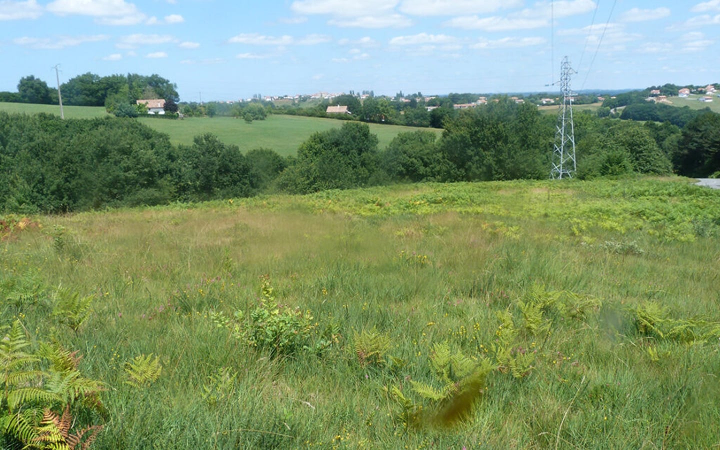 Sortie nature - à la découverte de l'Azuré des  mouillères